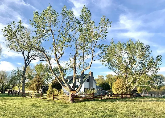 Stunning With Fire Pit In Saratoga, Wyoming Saratoga